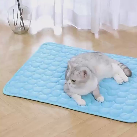 Cooling Dog Mat Ice Silk Pet Bed Breathable Washable Small Large